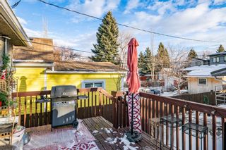 Photo 23: 249 22 Avenue NW in Calgary: Tuxedo Park Detached for sale : MLS®# A1184850