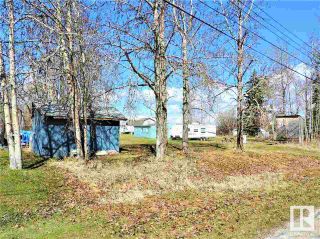 Photo 20: 5035 & 5037 Crestview Drive: Rural Lac Ste. Anne County Cottage for sale : MLS®# E4320070