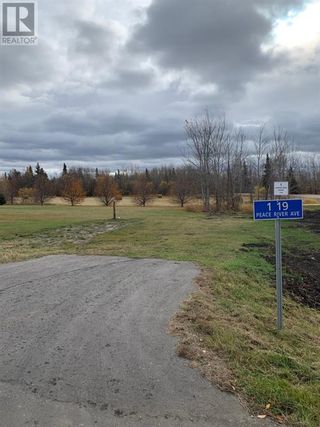 Photo 10: Lot 1 19 Peace River Avenue in Joussard: Vacant Land for sale : MLS®# A1042963