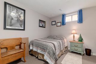 Photo 29: 52 Applecroft Road SE in Calgary: Applewood Park Detached for sale : MLS®# A2038523