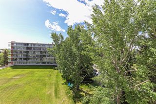 Photo 21: 602 3204 Rideau Place SW in Calgary: Rideau Park Apartment for sale : MLS®# A2053068