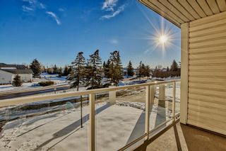 Photo 18: 205 309 Woodside Drive NW: Airdrie Apartment for sale : MLS®# A2012909