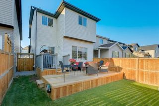 Photo 37: 63 CHAPARRAL VALLEY Common SE in Calgary: Chaparral Detached for sale : MLS®# C4204516