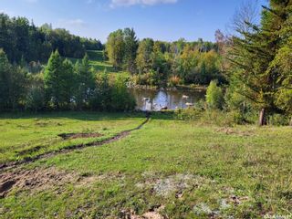 Photo 17: Loon Lake 1,162.4 acres Pastureland in Loon Lake: Farm for sale (Loon Lake Rm No. 561)  : MLS®# SK940726