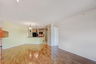 Photo 23: 306 25 Richard Place SW in Calgary: Lincoln Park Apartment for sale : MLS®# A1240782