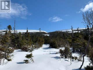 Photo 5: 2 Hynes Road Unit#ROUTE 462 in Port Au Port East: Vacant Land for sale : MLS®# 1233625