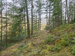 Photo 14: 17855 MORRIS VALLEY ROAD in Agassiz: Out Of District - Sub Area Lots/Acreage for sale (Out Of District)  : MLS®# 169532