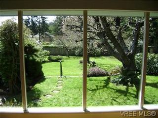 Photo 6: 2505 Arbutus Rd in VICTORIA: SE Cadboro Bay House for sale (Saanich East)  : MLS®# 568551