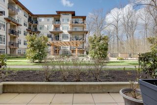 Photo 15: 205 2465 WILSON Avenue in Port Coquitlam: Central Pt Coquitlam Condo for sale in "ORCHID RIVERSIDE" : MLS®# R2674128
