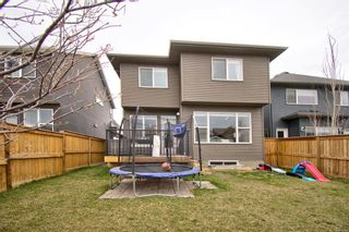 Photo 45: 132 Cooperstown Place SW: Airdrie Detached for sale : MLS®# A1212832