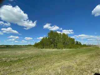 Photo 2: Portion SE 16-110-19 W5 in Rural Mackenzie County: Rural Mackenzie M.D. Residential Land for sale : MLS®# A2125994