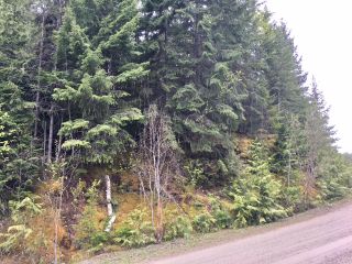 Photo 22: 3,4,6 Armstrong Road in Eagle Bay: Vacant Land for sale : MLS®# 10133907