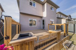Photo 26: 18 Royal Birch Way NW in Calgary: Royal Oak Detached for sale : MLS®# A2022837