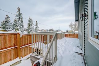 Photo 38: 4 Beacham Rise NW in Calgary: Beddington Heights Detached for sale : MLS®# A2008243