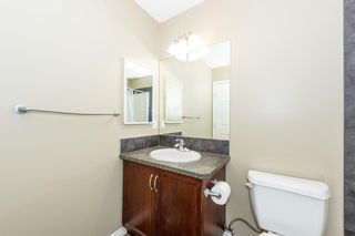 Photo 25: 42 skyview shores Crescent NE in Calgary: Skyview Ranch Detached for sale : MLS®# A2006294