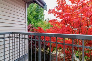 Photo 24: 15 7503 18TH Street in Burnaby: Edmonds BE Townhouse for sale in "SOUTHBOROUGH" (Burnaby East)  : MLS®# R2748521