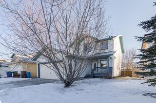 Photo 29: 15 Springs Crescent: Airdrie Detached for sale : MLS®# A1172544