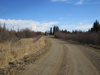 Photo 36: NW 24-54 RR 131: Niton Junction Rural Land for sale (Edson)  : MLS®# 32590