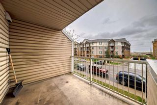 Photo 18: 214 2000 Applevillage Court SE in Calgary: Applewood Park Apartment for sale : MLS®# A2130391