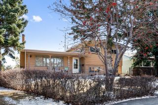 Photo 3: 4844 Nipawin Crescent NW in Calgary: North Haven Detached for sale : MLS®# A1199788