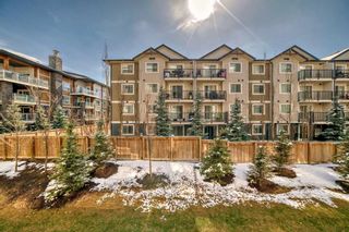 Photo 17: 2214 4641 128 Avenue NE in Calgary: Skyview Ranch Apartment for sale : MLS®# A2120636