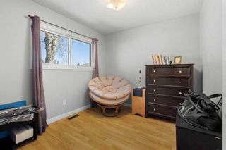 Photo 16: 379 Rundleview Drive NE in Calgary: Rundle Detached for sale : MLS®# A2124961