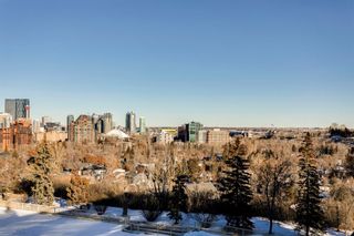 Photo 31: 602 3232 Rideau Place SW in Calgary: Rideau Park Apartment for sale : MLS®# A2020174