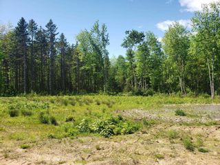 Photo 13: 4997 Brooklyn Street in Grafton: Kings County Farm for sale (Annapolis Valley)  : MLS®# 202212500