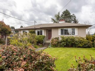 Photo 7: 1177 Clarke Rd in Central Saanich: CS Brentwood Bay House for sale : MLS®# 904221