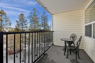 Photo 11: 1353 5200 44 Avenue NE in Calgary: Whitehorn Apartment for sale : MLS®# A2110910