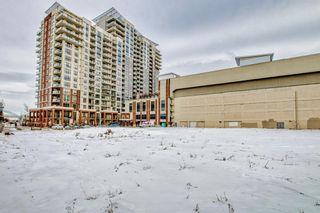 Photo 36: 1313 8710 Horton Road SW in Calgary: Haysboro Apartment for sale : MLS®# A2014731