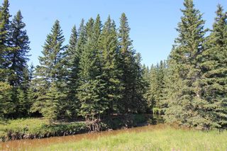 Photo 19: Range Road 61: Rural Mountain View County Residential Land for sale : MLS®# A2017484