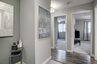 Photo 14: 308 617 56 Avenue SW in Calgary: Windsor Park Apartment for sale : MLS®# A1134178