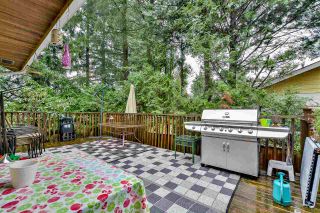 Photo 16: 21436 117 Avenue in Maple Ridge: West Central House for sale : MLS®# R2139746
