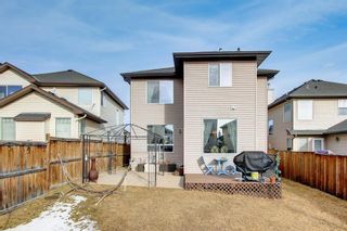 Photo 48: 607 Kincora Drive NW in Calgary: Kincora Detached for sale : MLS®# A1194321