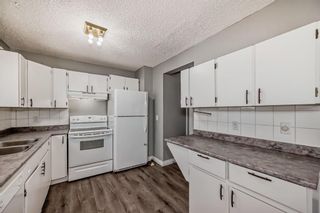 Photo 12: 111 Pinemill Mews NE in Calgary: Pineridge Detached for sale : MLS®# A2115447
