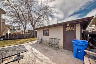 Photo 40: 3816 Dover Ridge Drive SE in Calgary: Dover Detached for sale : MLS®# A2124560