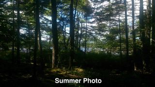 Photo 17: Lot 38 Sand Cove Road in Westfield: 406-Queens County Vacant Land for sale (South Shore)  : MLS®# 202404708