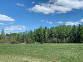 Photo 7: NW-3-45-7-W5   West of Cowboy Trail Hwy #22 in Rural Wetaskiwin No. 10, County of: Rural Wetaskiwin County Residential Land for sale : MLS®# A1230343