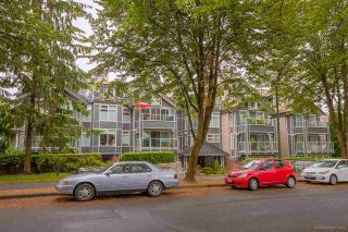 Photo 17: 201 865 W 15TH Avenue in Vancouver: Fairview VW Condo for sale in "Tiffany Oaks" (Vancouver West)  : MLS®# R2098937