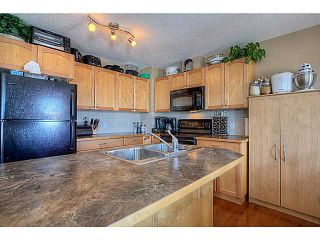 Photo 3: 111 Hillview Terrace: Strathmore Townhouse for sale : MLS®# C3601996