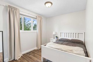 Photo 11: 20 Bedford Circle NE in Calgary: Beddington Heights Detached for sale : MLS®# A2060285