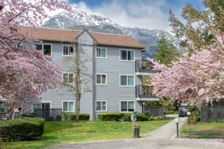 Photo 2: A301 40100 WILLOW Crescent in Squamish: Garibaldi Estates Condo for sale in "Diamond Head Place" : MLS®# R2687874