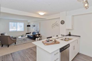 Photo 8: 1105 181 Skyview Ranch Manor NE in Calgary: Skyview Ranch Apartment for sale : MLS®# A2125801