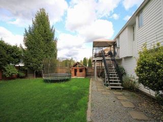 Photo 10: 23385 118 Avenue in Maple Ridge: Cottonwood MR House for sale : MLS®# V1113153