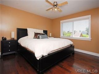Photo 9: 3229 Cedar Hill Rd in VICTORIA: SE Cedar Hill House for sale (Saanich East)  : MLS®# 592785