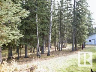 Photo 24: 75034 A TWP RD 453 A: Rural Wetaskiwin County House for sale : MLS®# E4320327
