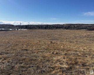 Photo 3: 4606 49 Street: Rural Flagstaff County Vacant Lot/Land for sale : MLS®# E4381335