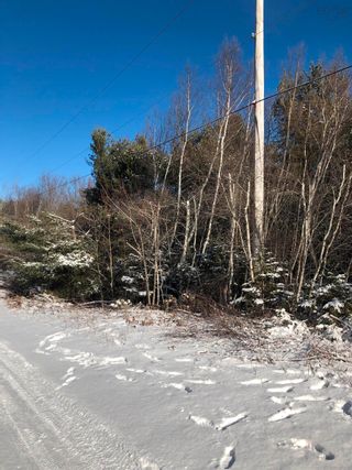 Photo 7: Lot 6 Lakeview Drive in Lake La Rose: Annapolis County Vacant Land for sale (Annapolis Valley)  : MLS®# 202300543
