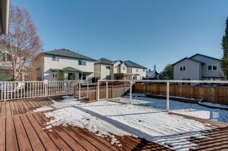 Photo 30: 125 Coventry Crescent NE in Calgary: Coventry Hills Detached for sale : MLS®# A1042180